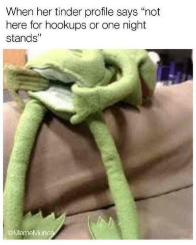 sex memes - kermit meme butt - When her tinder profile says "not here for hookups or one night stands" Memelvurica