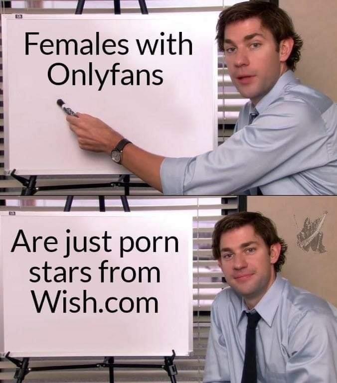 sex memes - office quotes - Females with Onlyfans Are just porn stars from Wish.com