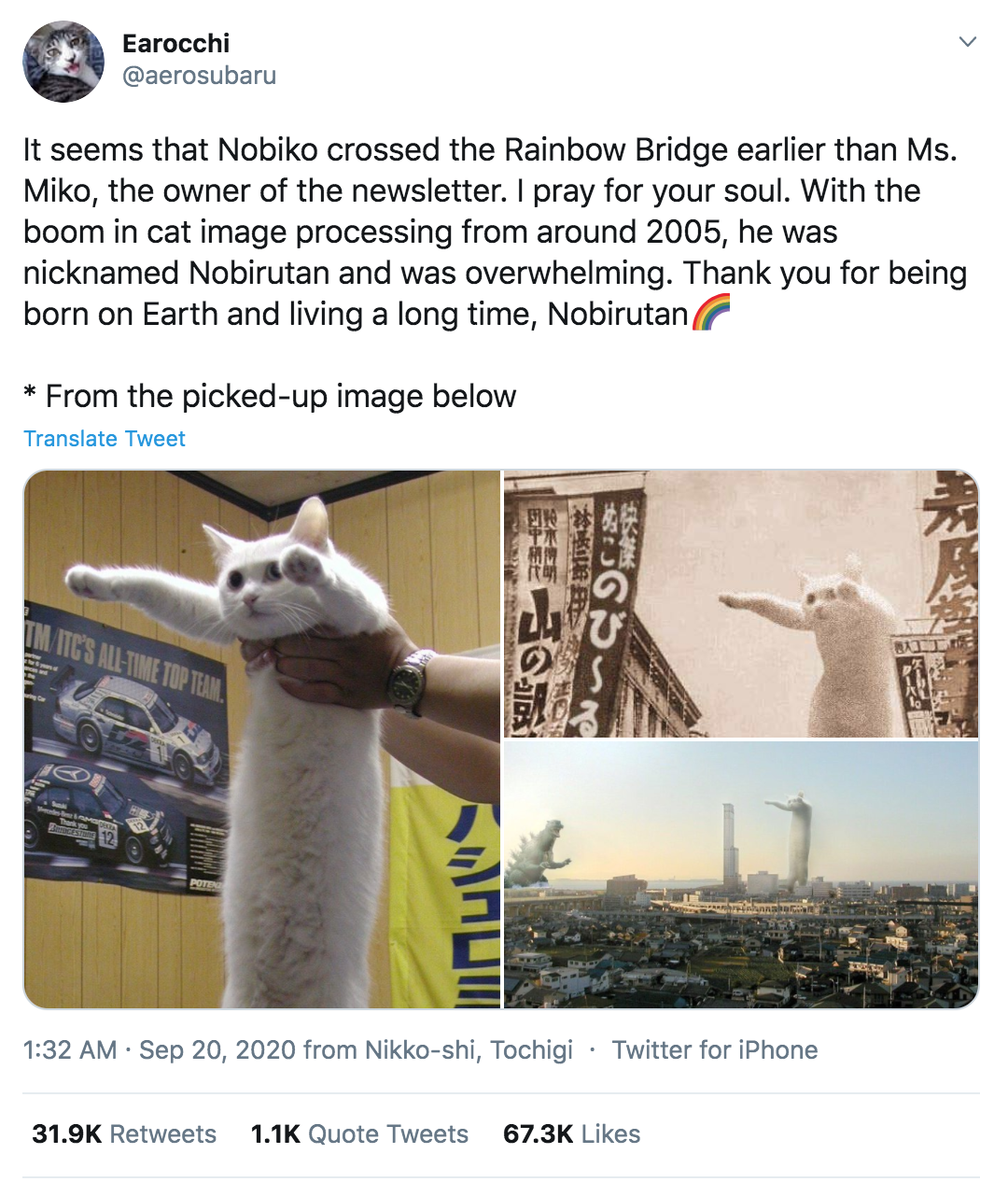 long cat - Earocchi It seems that Nobiko crossed the Rainbow Bridge earlier than Ms. Miko, the owner of the newsletter. I pray for your soul. With the boom in cat image processing from around 2005, he was nicknamed Nobirutan and was overwhelming. Thank yo