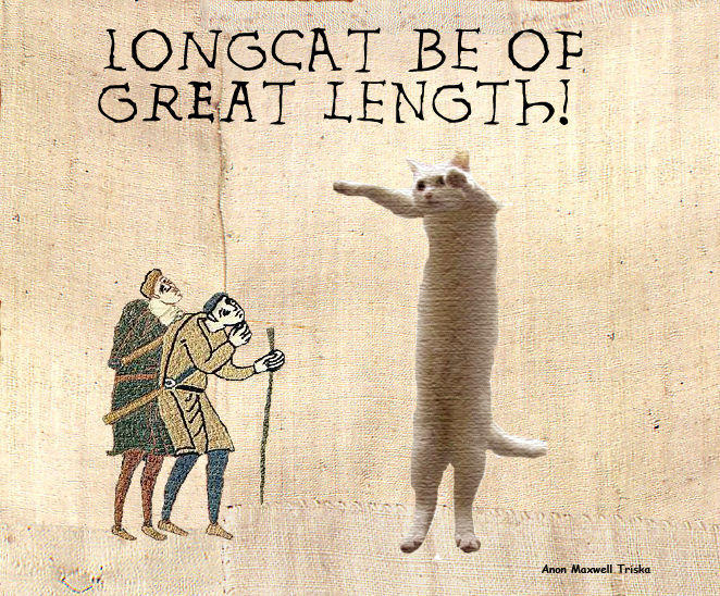 bayeux tapestry jokes - Iongcat Be Of Great Length! N Anon Maxwell Triska