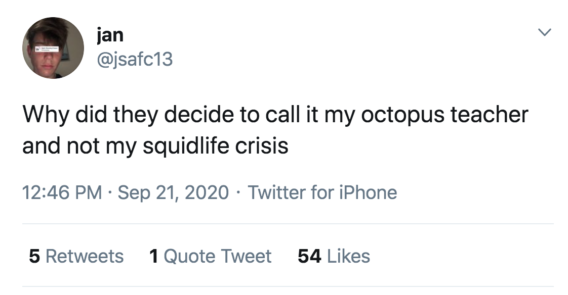 netflix my octopus teacher - british people be like deadarse - jan Why did they decide to call it my octopus teacher and not my squidlife crisis Twitter for iPhone 5 1 Quote Tweet 54
