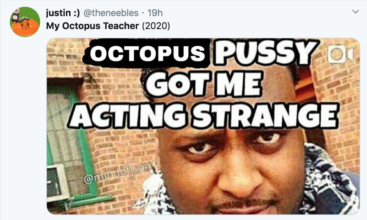 tweet -My Octopus Teacher 2020 Octopus Pussy Got Me Acting Strange