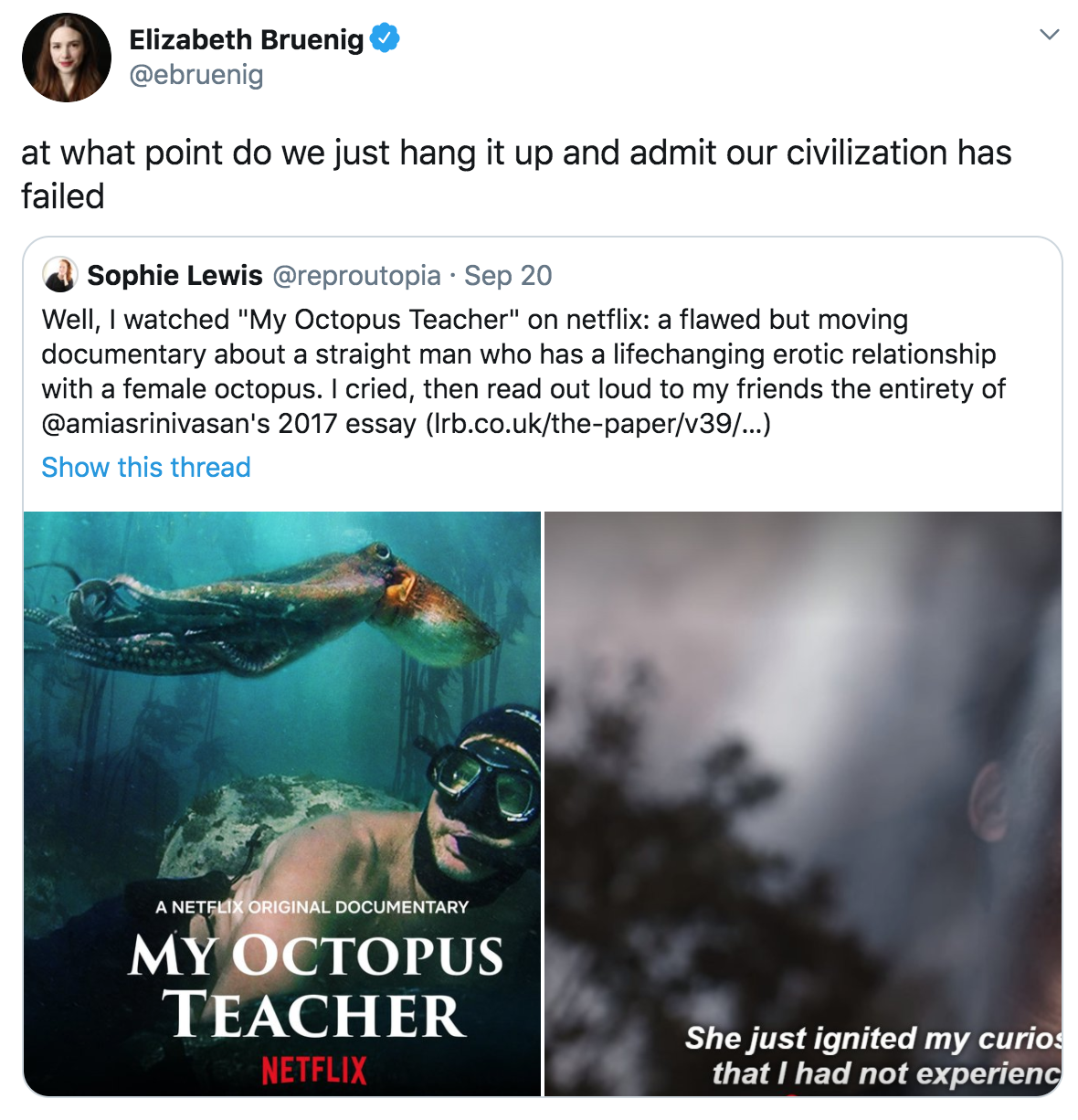 netflix my octopus teacher - netflix my octopus teacher - Elizabeth Bruenig at what point do we just hang it up and admit our civilization has failed Sophie Lewis Sep 20 Well, I watched