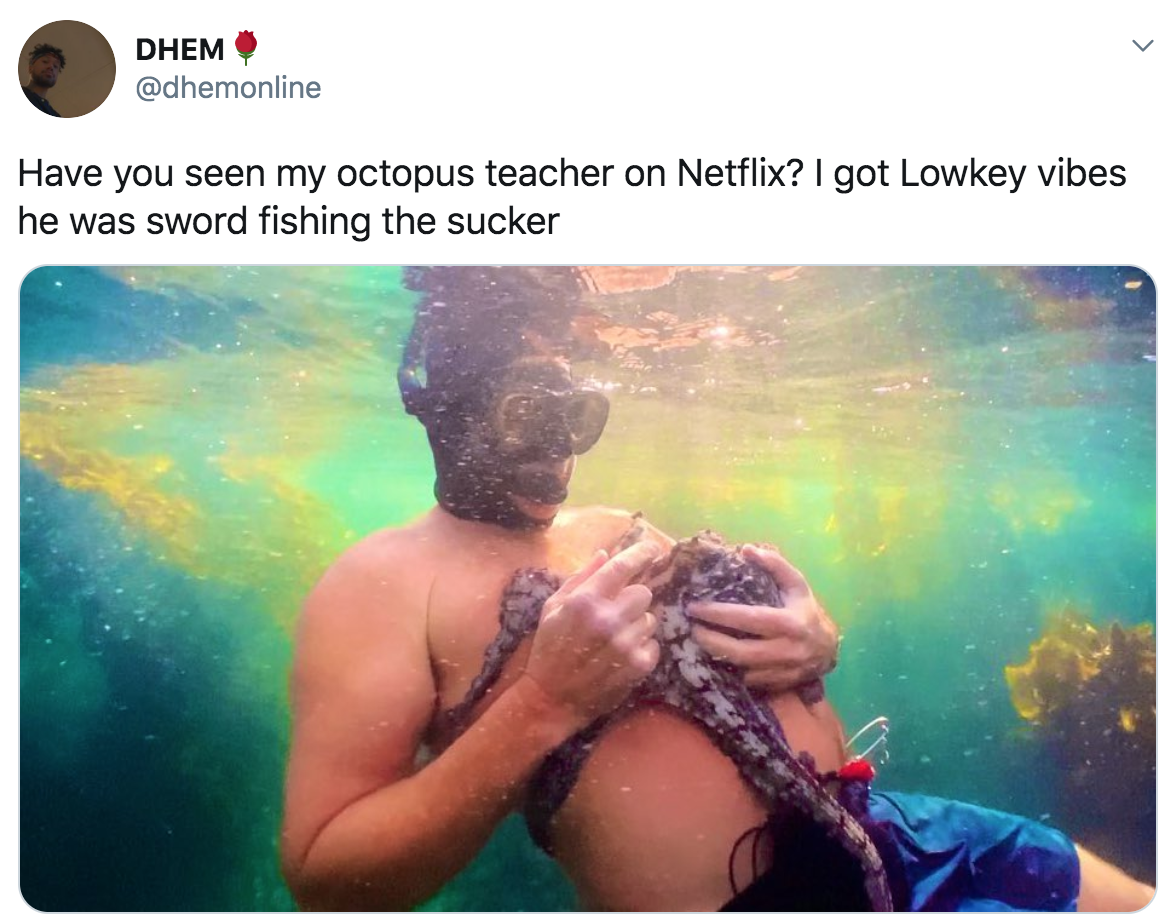 netflix my octopus teacher - human - Dhem Have you seen my octopus teacher on Netflix? I got Lowkey vibes he was sword fishing the sucker