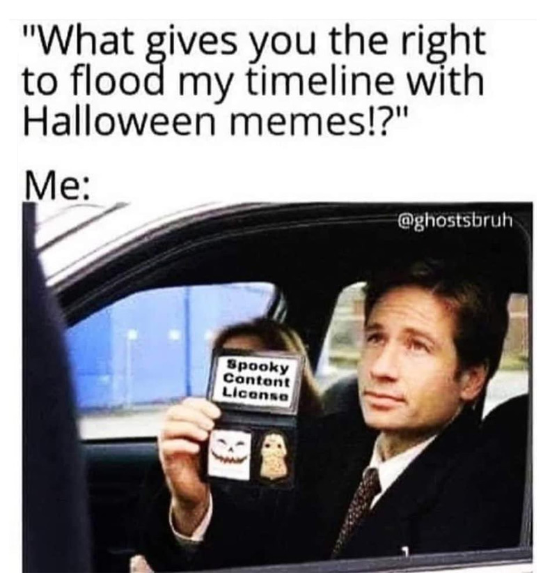 halloween memes - photo caption - "What gives you the right to flood my timeline with Halloween memes!?" Me Spooky Cantont License