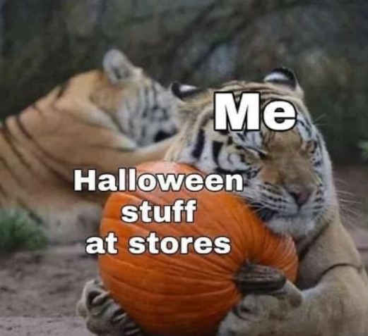 halloween memes - wholesome memes hug - Me Halloween stuff at stores