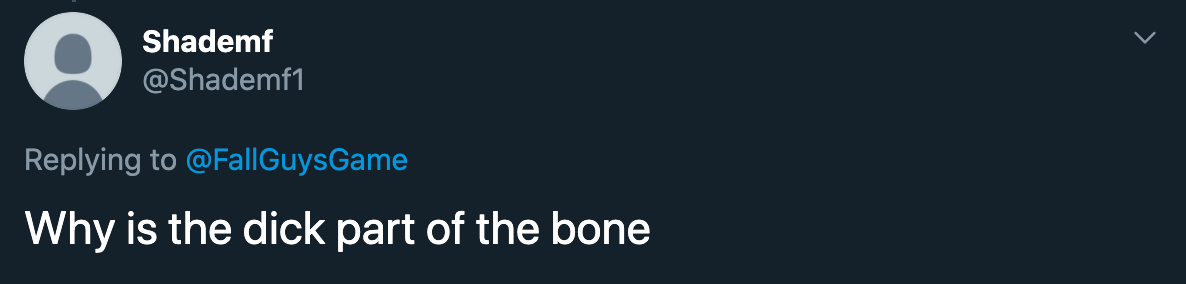 why is the dick part of the bone