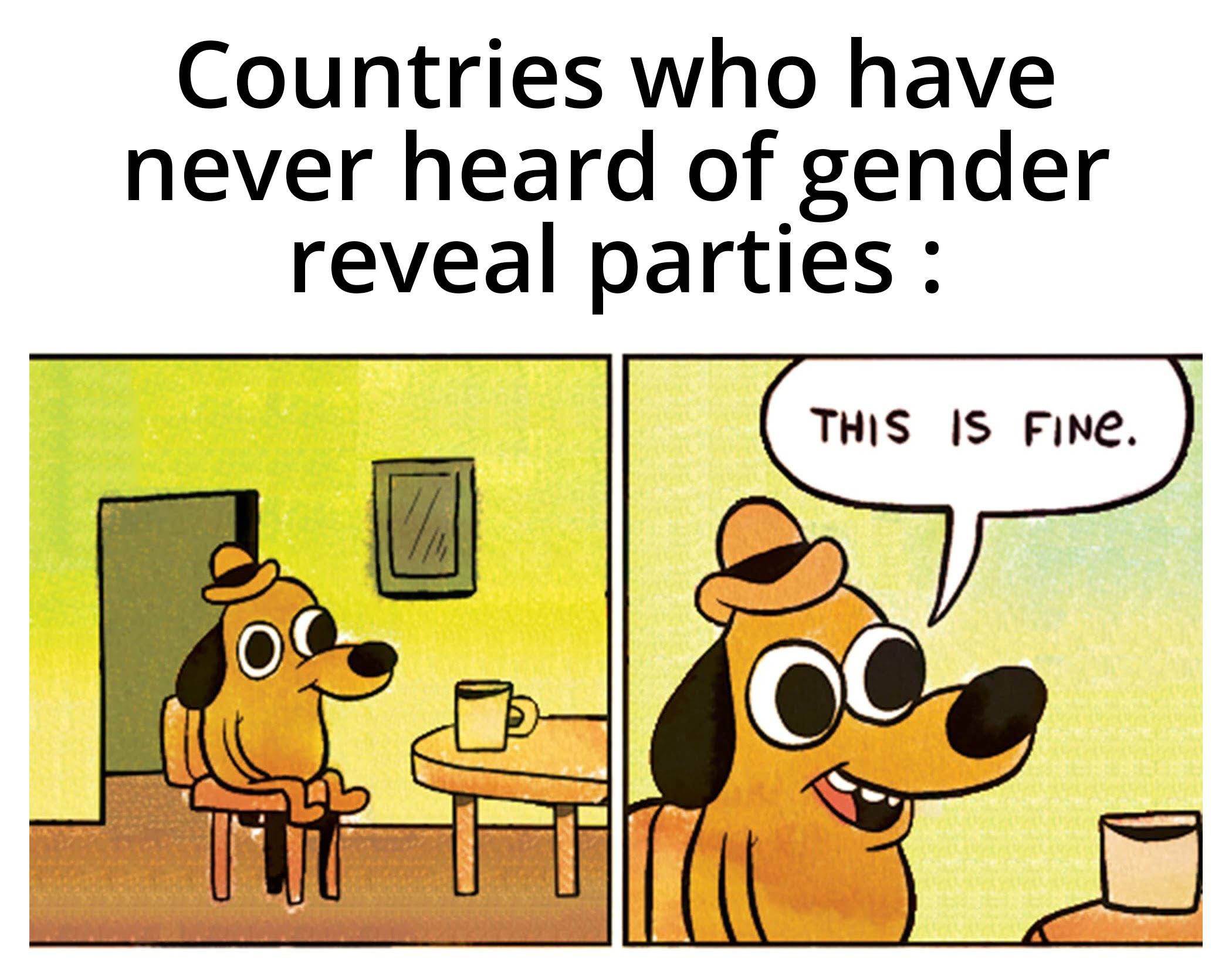 dank memes - meme this is fine -  Countries who have never heard of gender reveal parties This Is Fine.