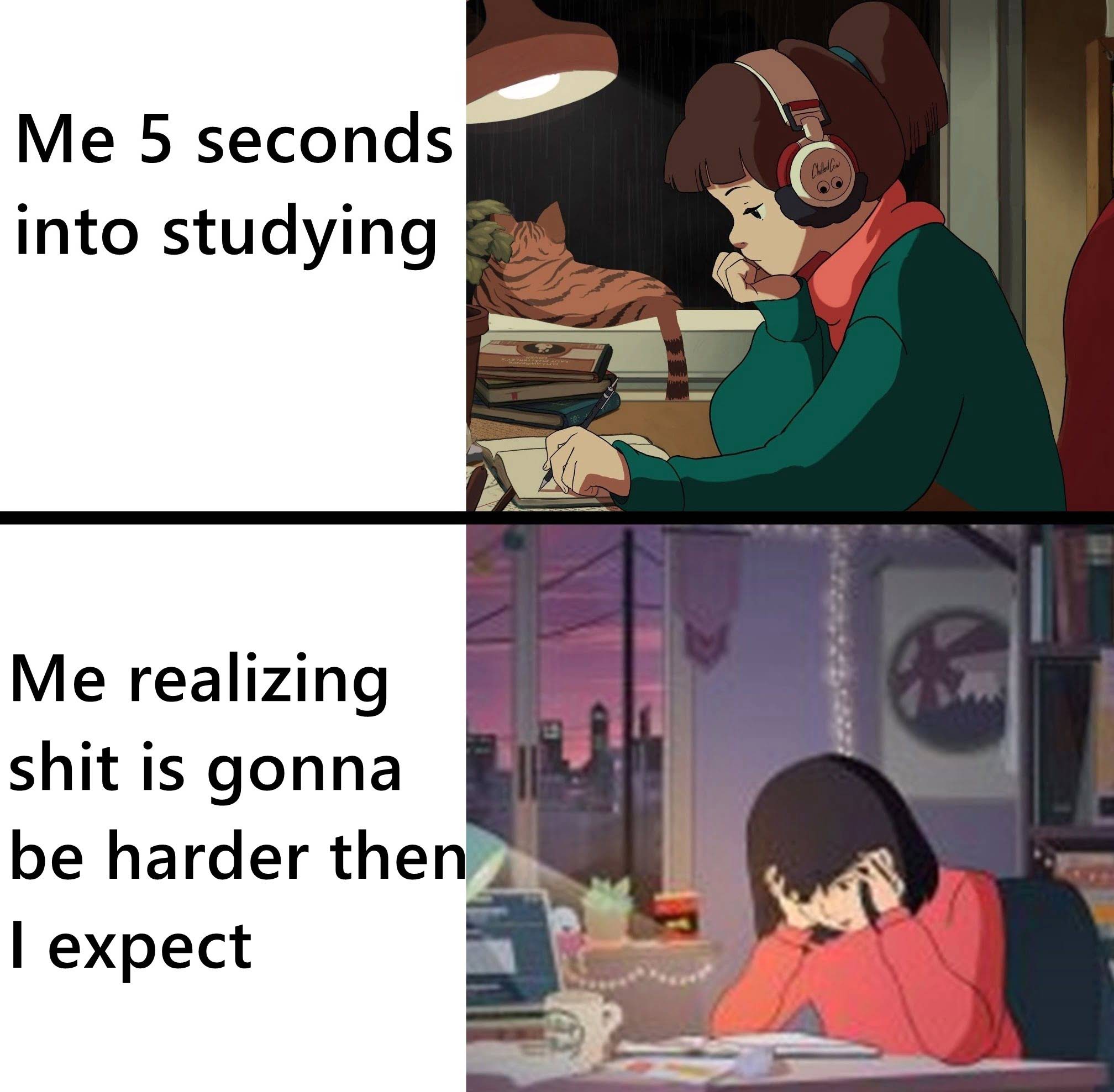 dank memes - study tips - Me 5 seconds into studying Me realizing shit is gonna be harder then I expect