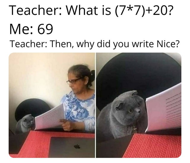dirty-memes-hr meme cat - Teacher What is 7720? Me 69 Teacher Then, why did you write Nice?