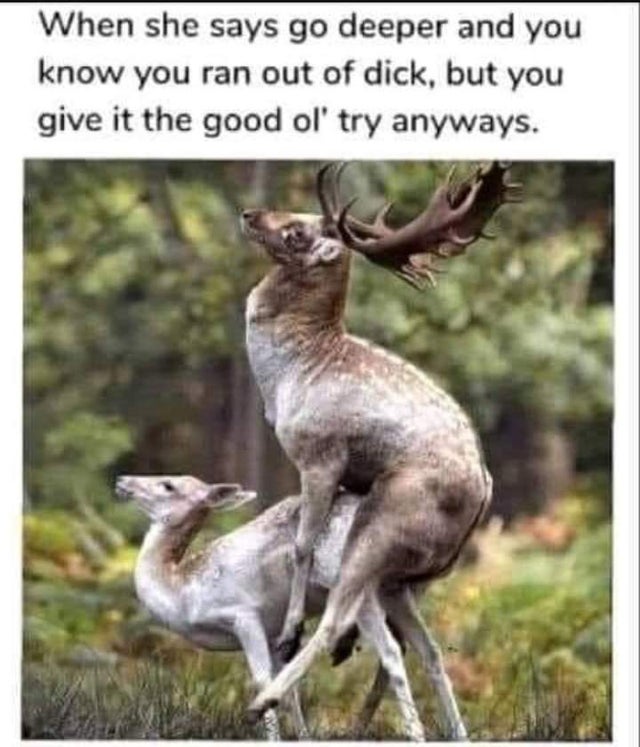 dirty-memes-fauna - When she says go deeper and you know you ran out of dick, but you give it the good ol' try anyways.