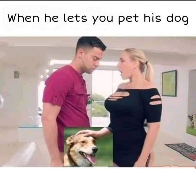 dirty-memes-dog - When he lets you pet his dog
