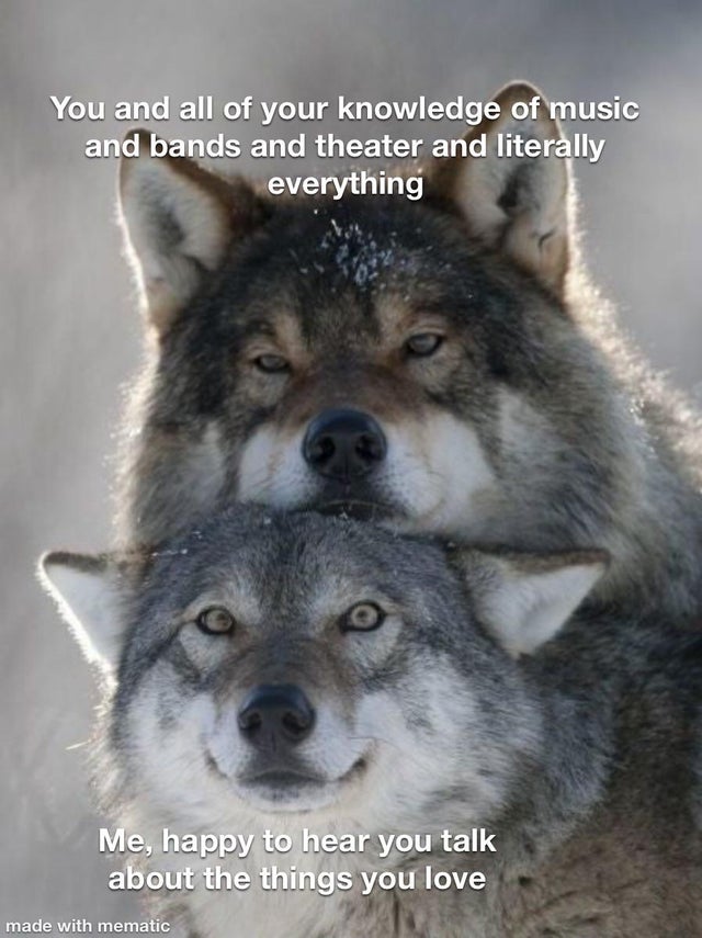 relationship-memes-pair of wolves - You and all of your knowledge of music and bands and theater and literally everything Me, happy to hear you talk about the things you love made with mematic