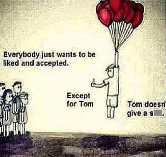 funny meme - Everybody just wants to be liked and accepted. Except for Tom. Tom doesn't give a shit.