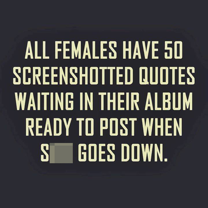 funny meme - All Females Have 50 Screenshotted Quotes Waiting In Their Album Ready To Post When Shit Goes Down.