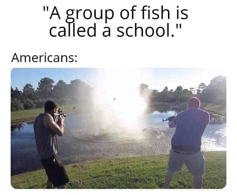 offensive memes - group of fish is called a school meme -