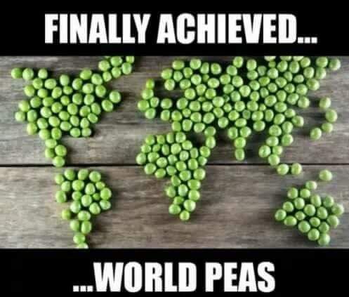 dad jokes - bad funny puns - Finally Achieved... ...World Peas