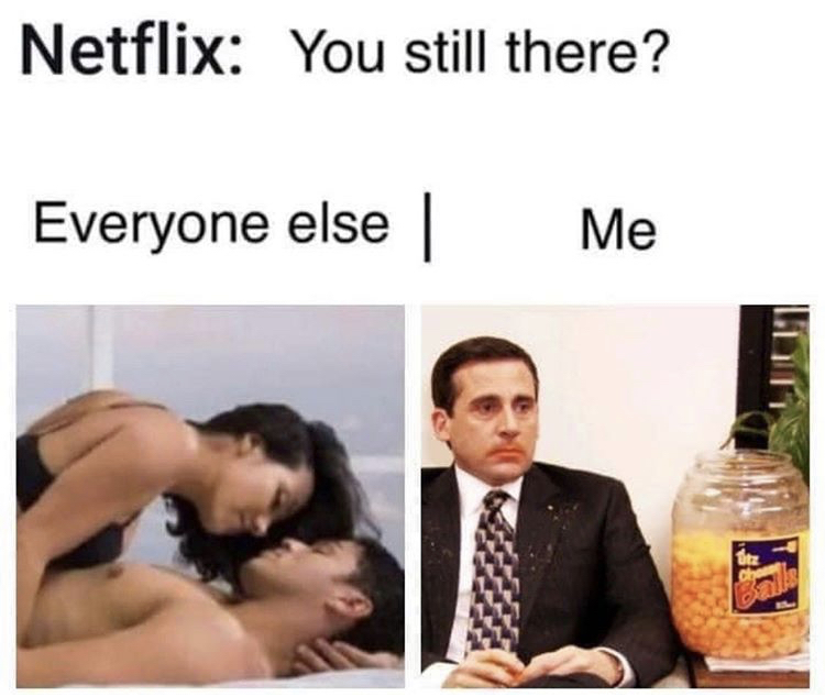 funny memes - photo caption - Netflix You still there? Everyone else Me tte