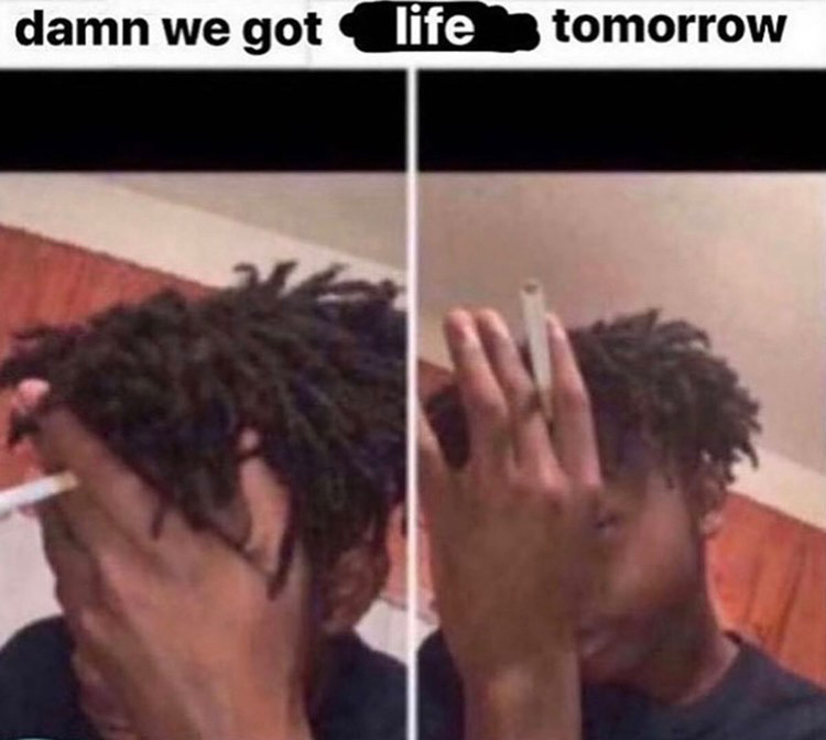 funny memes - dreadlocks - damn we got life tomorrow