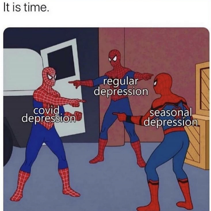 funny memes - tiger kinf netflix meme - It is time. regular depression covid depression seasonal depression