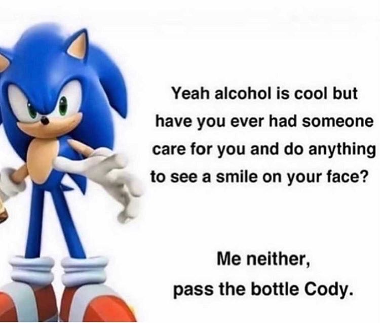 dank memes - sonic the hedgehog wreck it ralph - Yeah alcohol is cool but have you ever had someone care for you and do anything to see a smile on your face? Me neither, pass the bottle Cody.