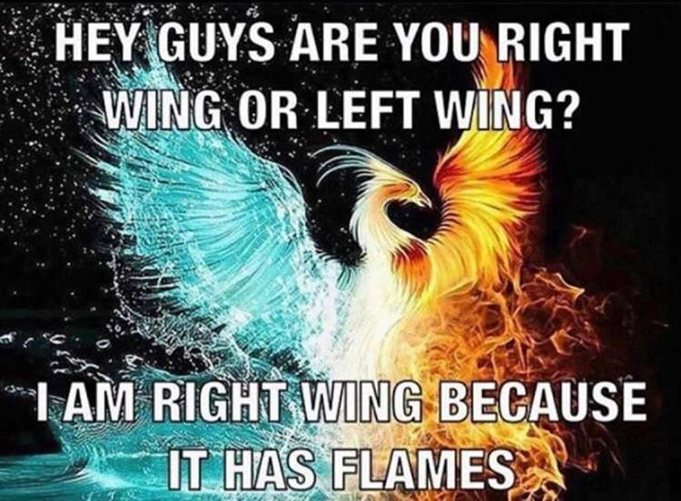 dank memes - phoenix girl - Hey Guys Are You Right Wing Or Left Wing? Tam Right Wing Because It Has Flames