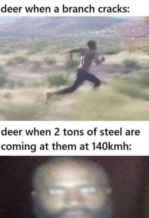 dank memes - deer when a branch cracks - deer when a branch cracks deer when 2 tons of steel are coming at them at mh