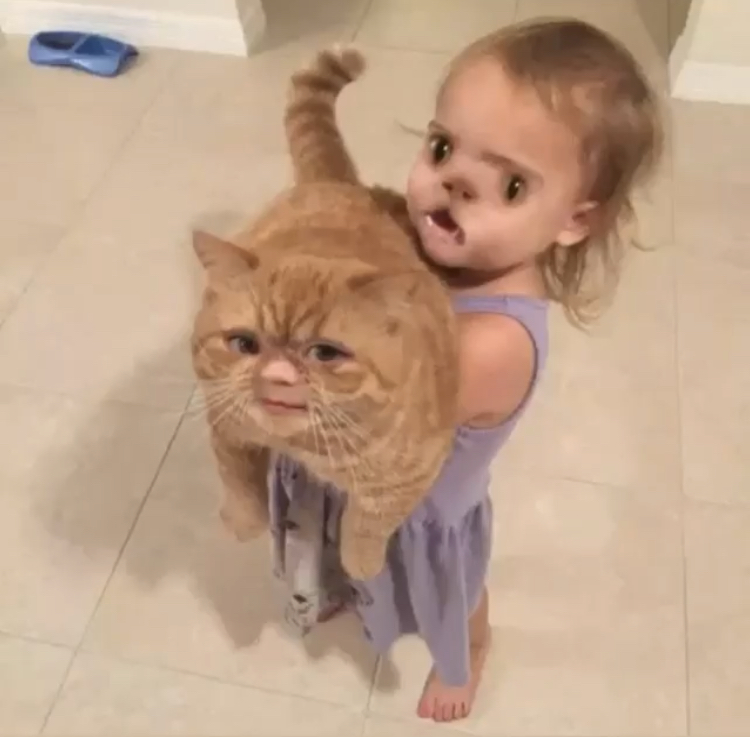 scary pictures - bad face swaps