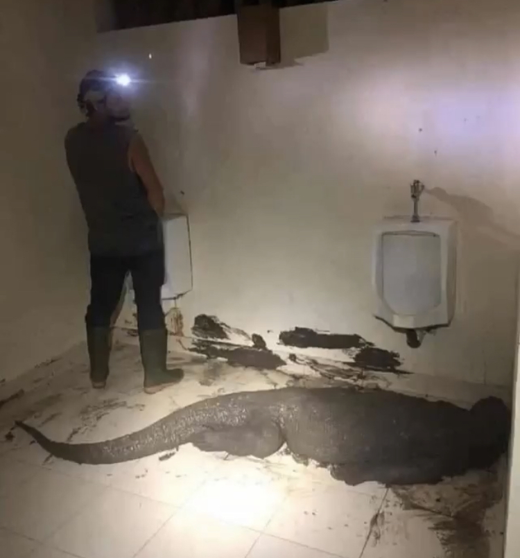 scary pictures - toilets with threatening auras