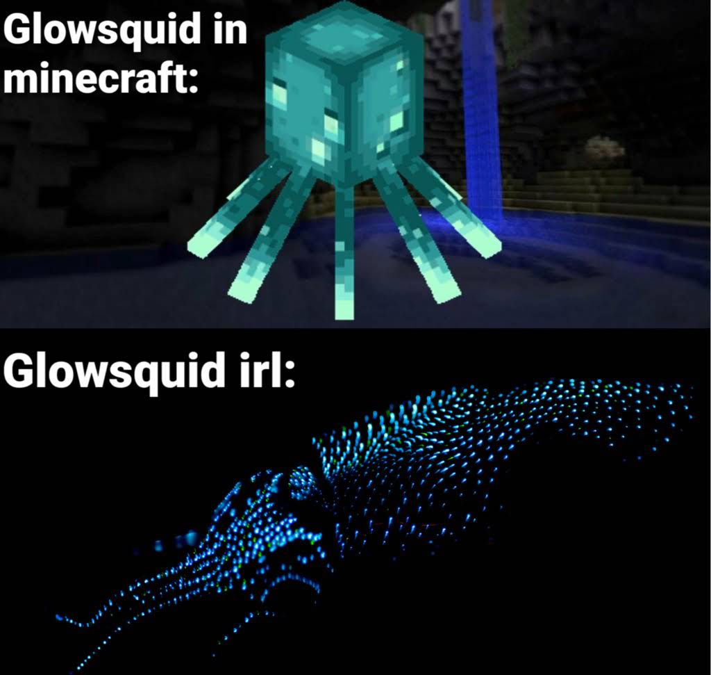 minecraft memes - minecraft update- glowsquids - light - Glowsquid in minecraft Glowsquid irl