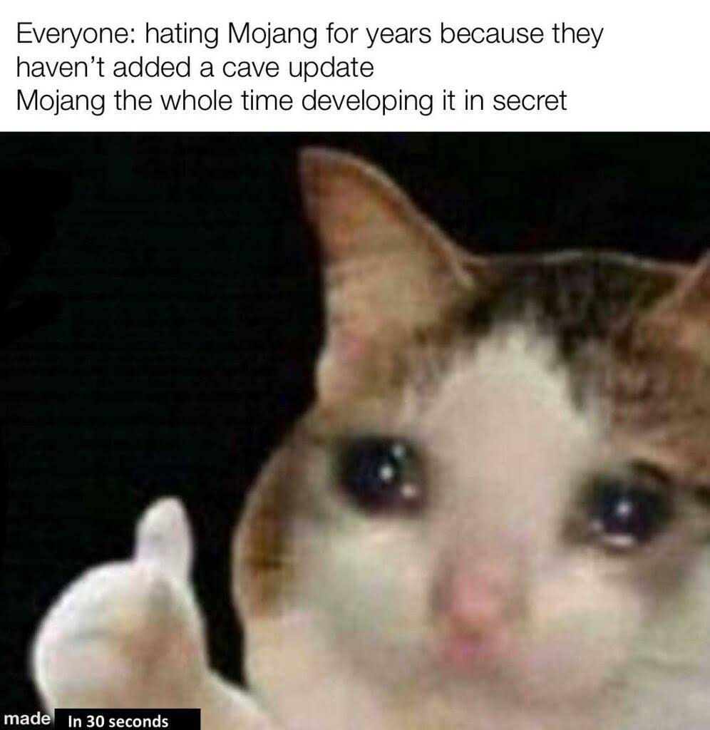 minecraft memes - minecraft update- glowsquids - crying cat thumbs up - Everyone hating Mojang for years because they haven't added a cave update Mojang the whole time developing it in secret made In 30 seconds