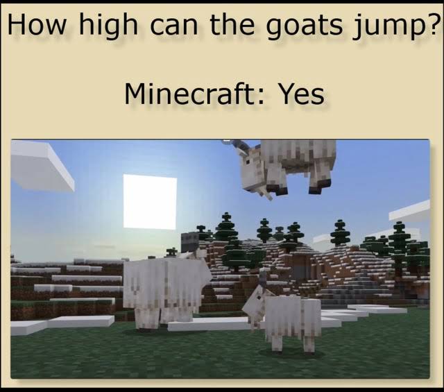 minecraft memes - minecraft update- glowsquids - biome - How high can the goats jump? Minecraft Yes