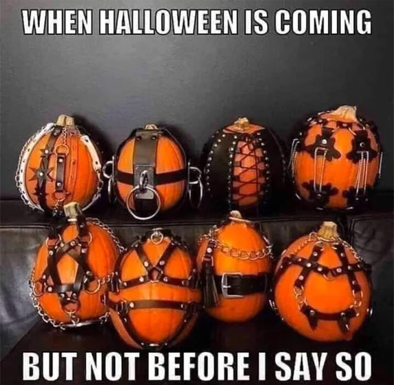 porn memes - halloween is coming meme - When Halloween Is Coming But Not Before I Say So