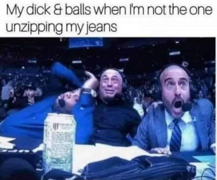 porn memes - white people watching their bird feeders meme - My dick & balls when I'm not the one unzipping my jeans