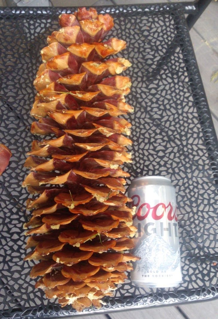 massive things -  Conifer cone