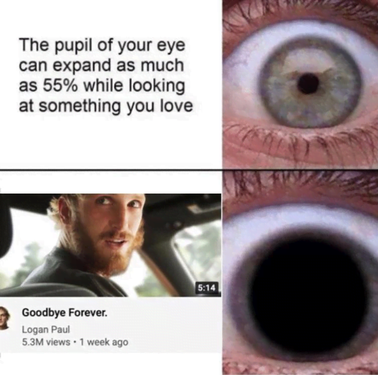 bad reddit posts- eye without pupil - The pupil of your eye can expand as much as 55% while looking at something you love Goodbye Forever. Logan Paul 5.3M views 1 week ago