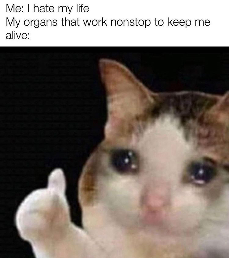 funny memes - crying cat with thumbs up - Me I hate my life My organs that work nonstop to keep me alive