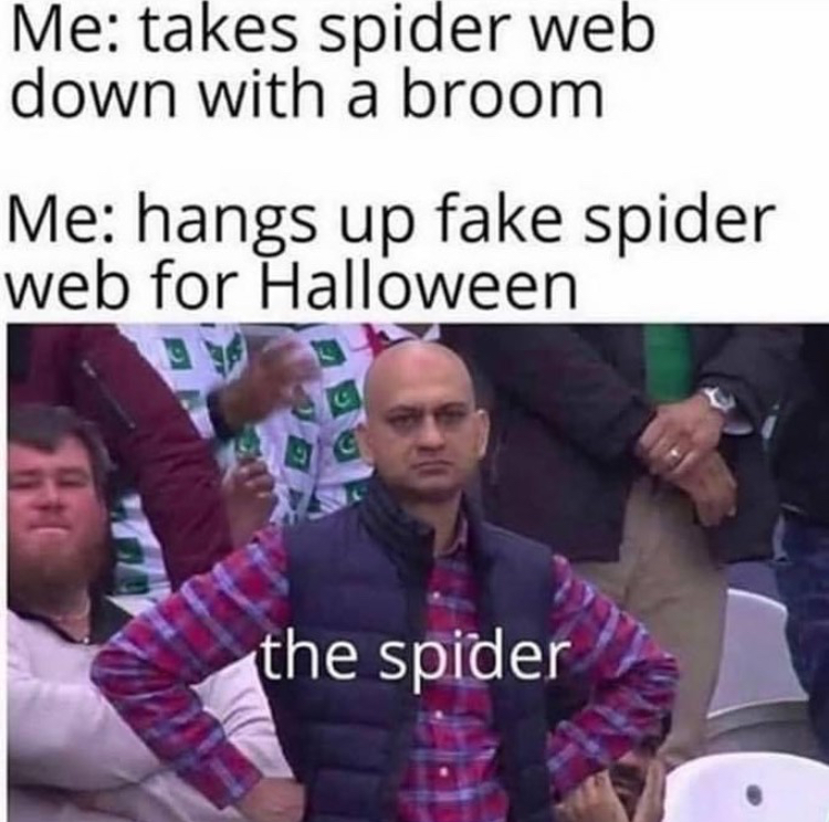 funny memes - if you ever feel useless meme - Me takes spider web down with a broom Me hangs up fake spider web for Halloween Ro the spider