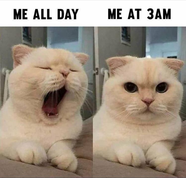 funny memes - me all day me at night - Me All Day