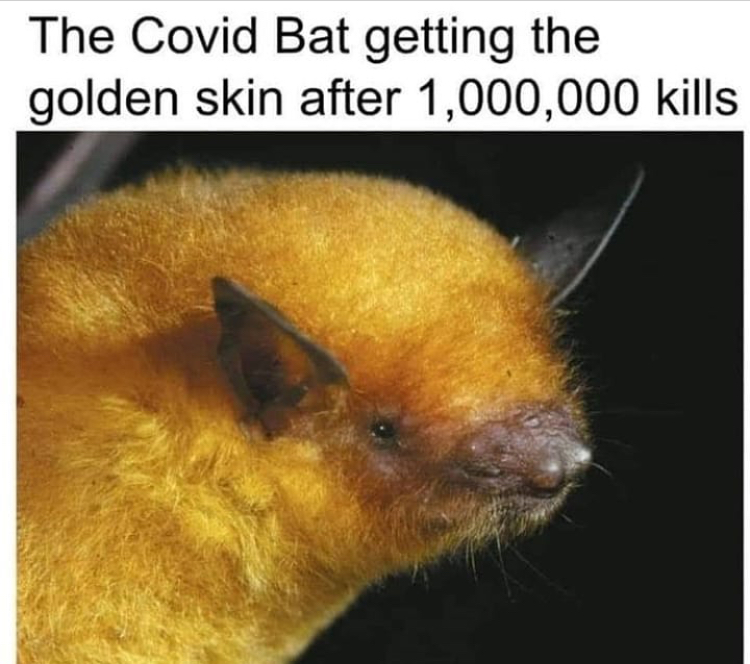 funny memes - golden bat - The Covid Bat getting the golden skin after 1,000,000 kills