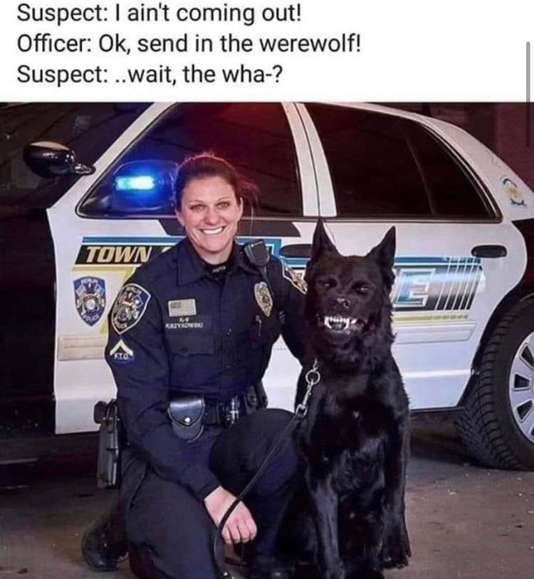 funny memes - fetch me his soul lucifer - Suspect I ain't coming out! Officer Ok, send in the werewolf! Suspect ..wait, the wha? Town No Rattro
