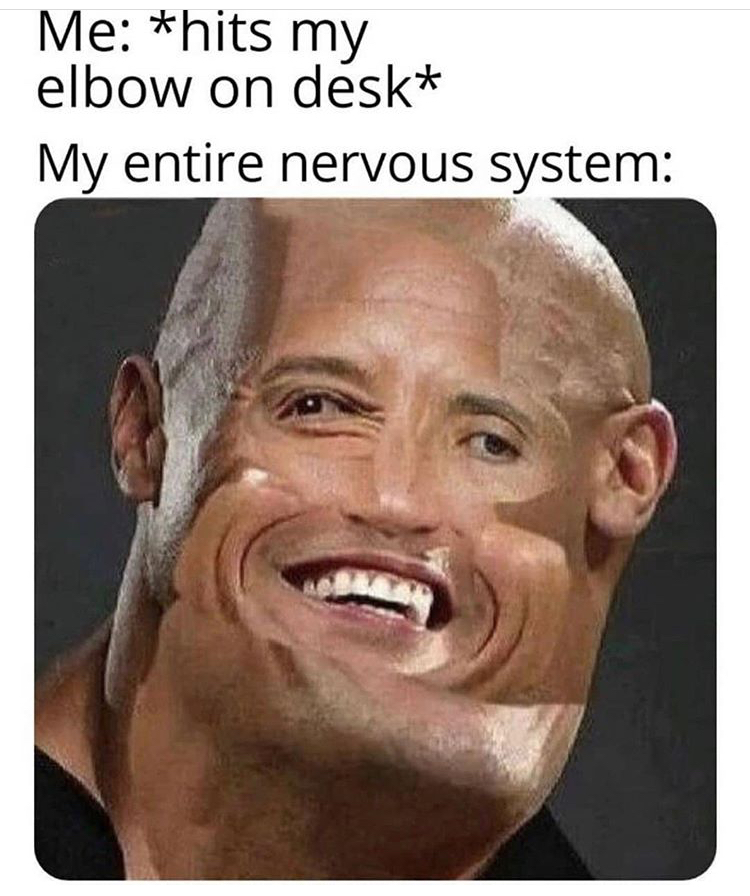 funny memes - Me hits my elbow on desk My entire nervous system