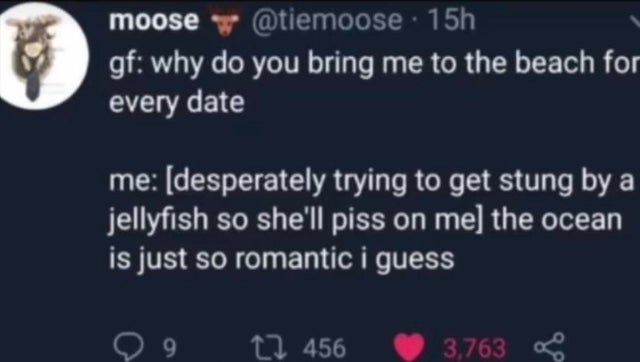 dirty-memes-atmosphere - moose 15h gf why do you bring me to the beach for every date me desperately trying to get stung by a jellyfish so she'll piss on me the ocean is just so romantic i guess 9 12 456 3,763