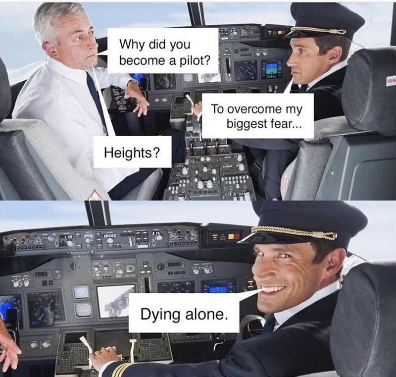 dark-memes-pun hub memes - Why did you become a pilot? To overcome my biggest fear... Heights? Todoc lui 1 Dying alone.