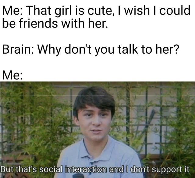 dark-memes-professionals have standards meme - Me That girl is cute, I wish I could be friends with her. Brain Why don't you talk to her? Me But that's social interaction and I don't support it