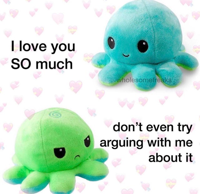 relationship-memes-mood octopus plush - I love you So much wholesomefreaks don't even try arguing with me about it