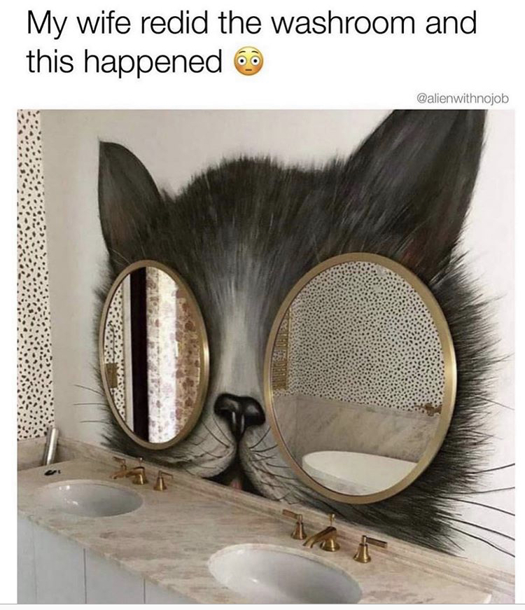 relationship-memes-cat bathroom mirror - My wife redid the washroom and this happened Calienwithinojob