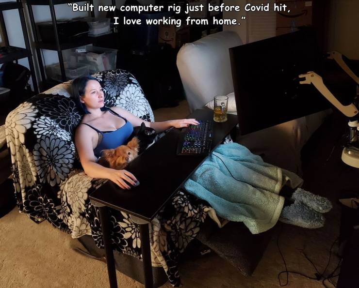 funny random pics - furniture - "Built new computer rig just before Covid hit, I love working from home."