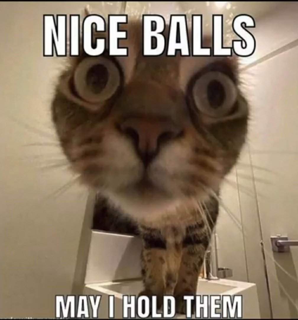 dank - memes -  Nice Balls May I Hold Them