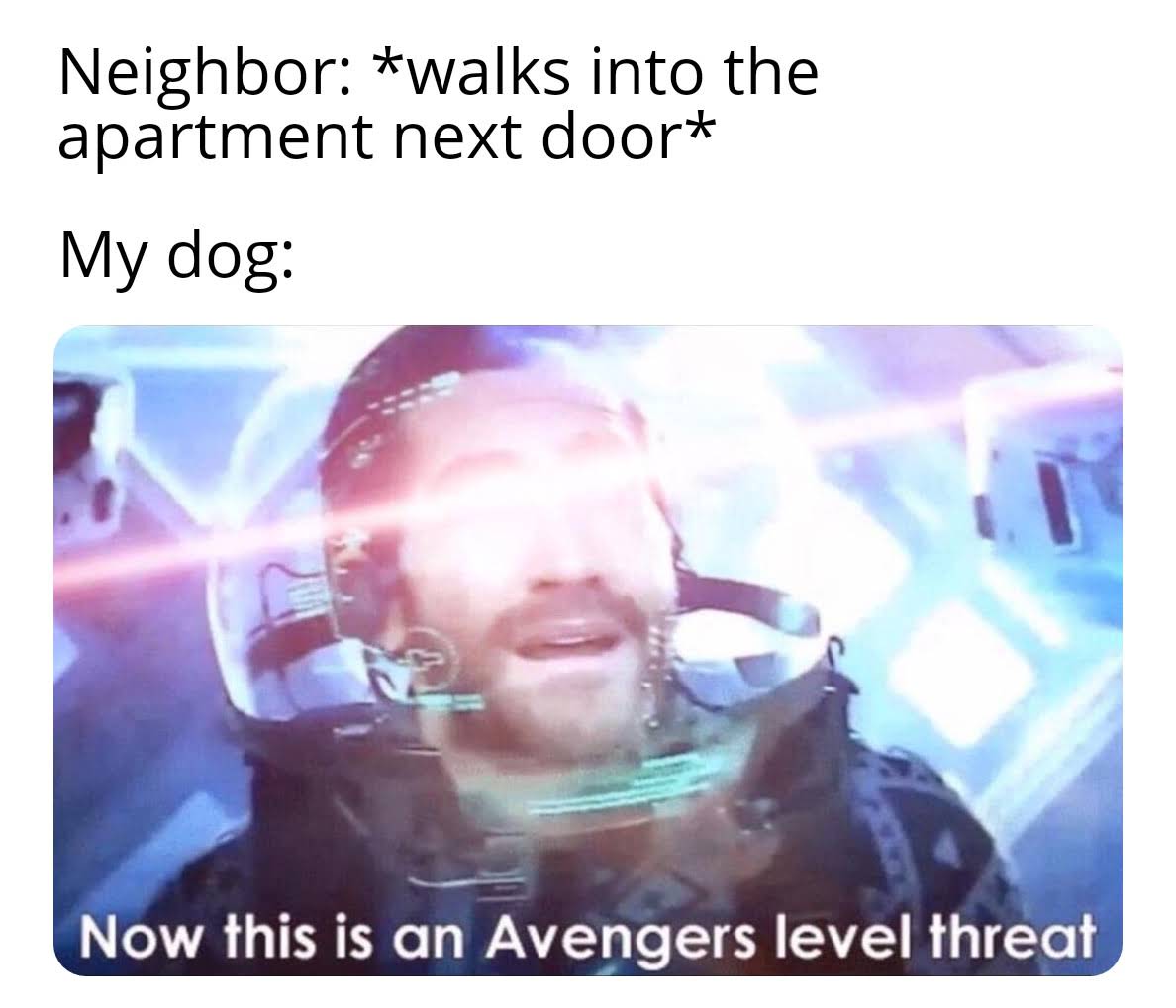 dank - memes -  avengers level threat karen - Neighbor walks into the apartment next door My dog Now this is an Avengers level threat